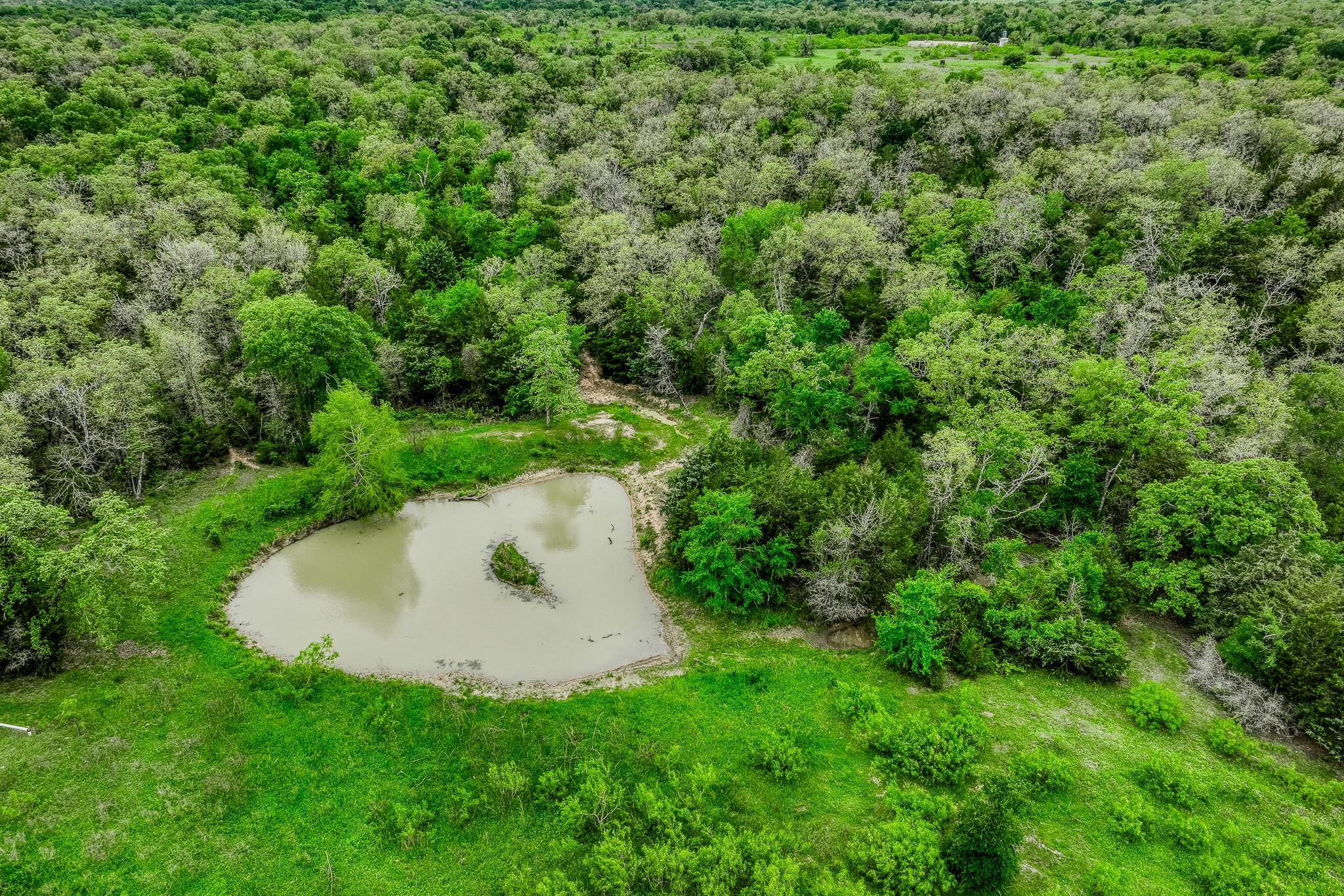 Image 30 of 39 For Tbd (349.84 Acres) County Road 125