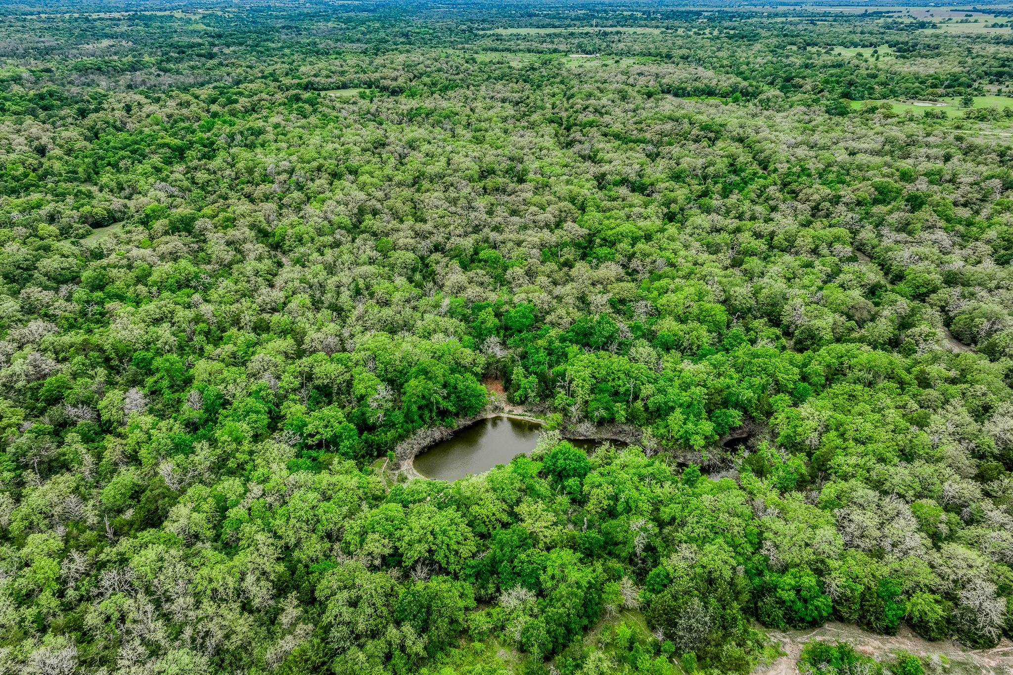 Image 32 of 39 For Tbd (349.84 Acres) County Road 125