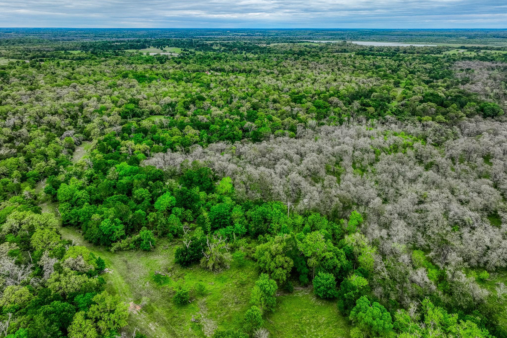 Image 36 of 39 For Tbd (349.84 Acres) County Road 125