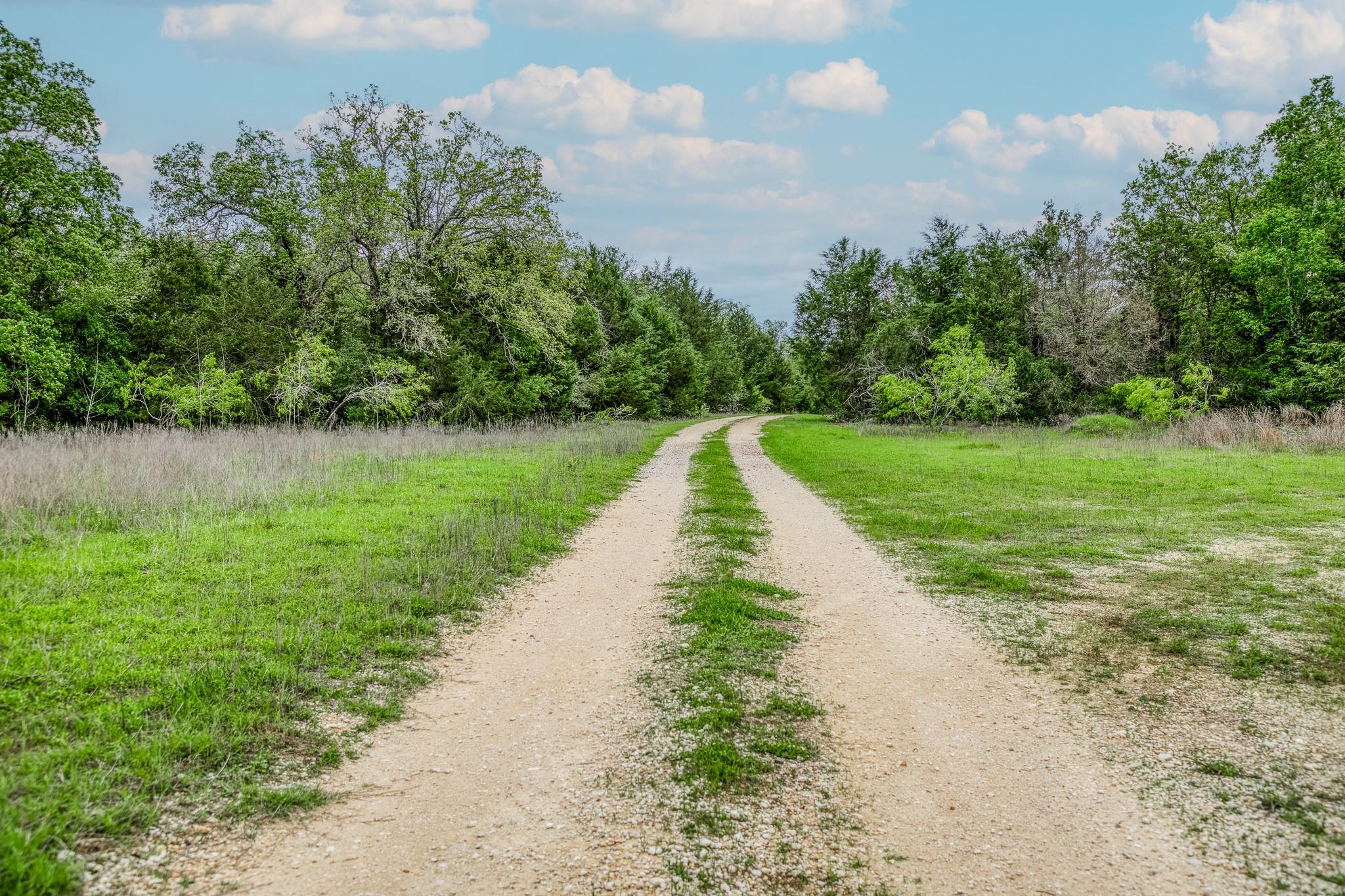 Image 6 of 39 For Tbd (349.84 Acres) County Road 125