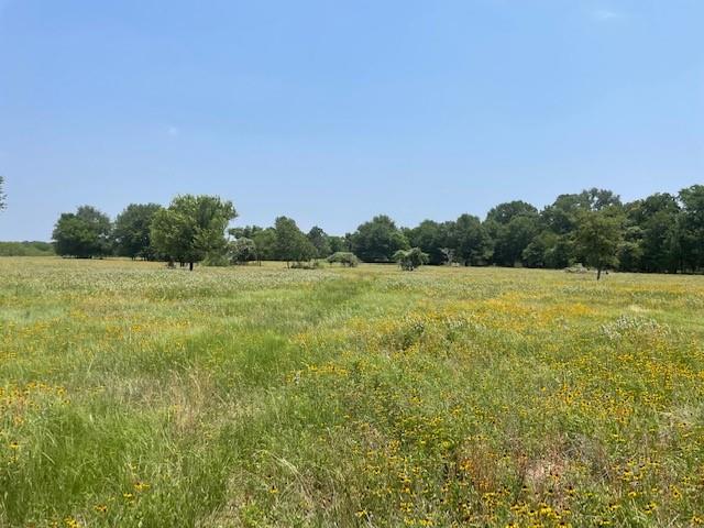 Image 11 of 36 For 1010 County Road 490