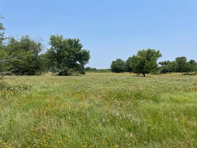 Image 12 of 36 For 1010 County Road 490