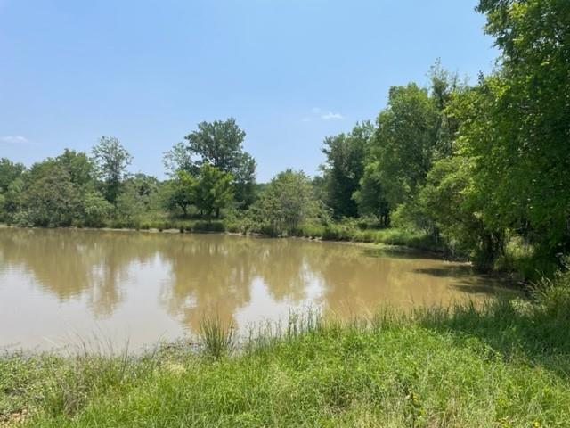 Image 15 of 36 For 1010 County Road 490