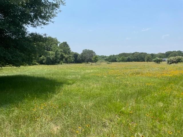 Image 16 of 36 For 1010 County Road 490