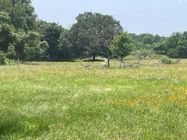 Image 17 of 36 For 1010 County Road 490