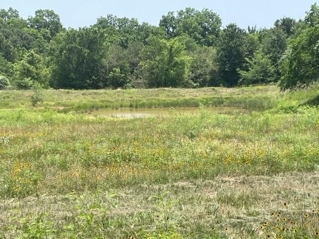 Image 19 of 36 For 1010 County Road 490