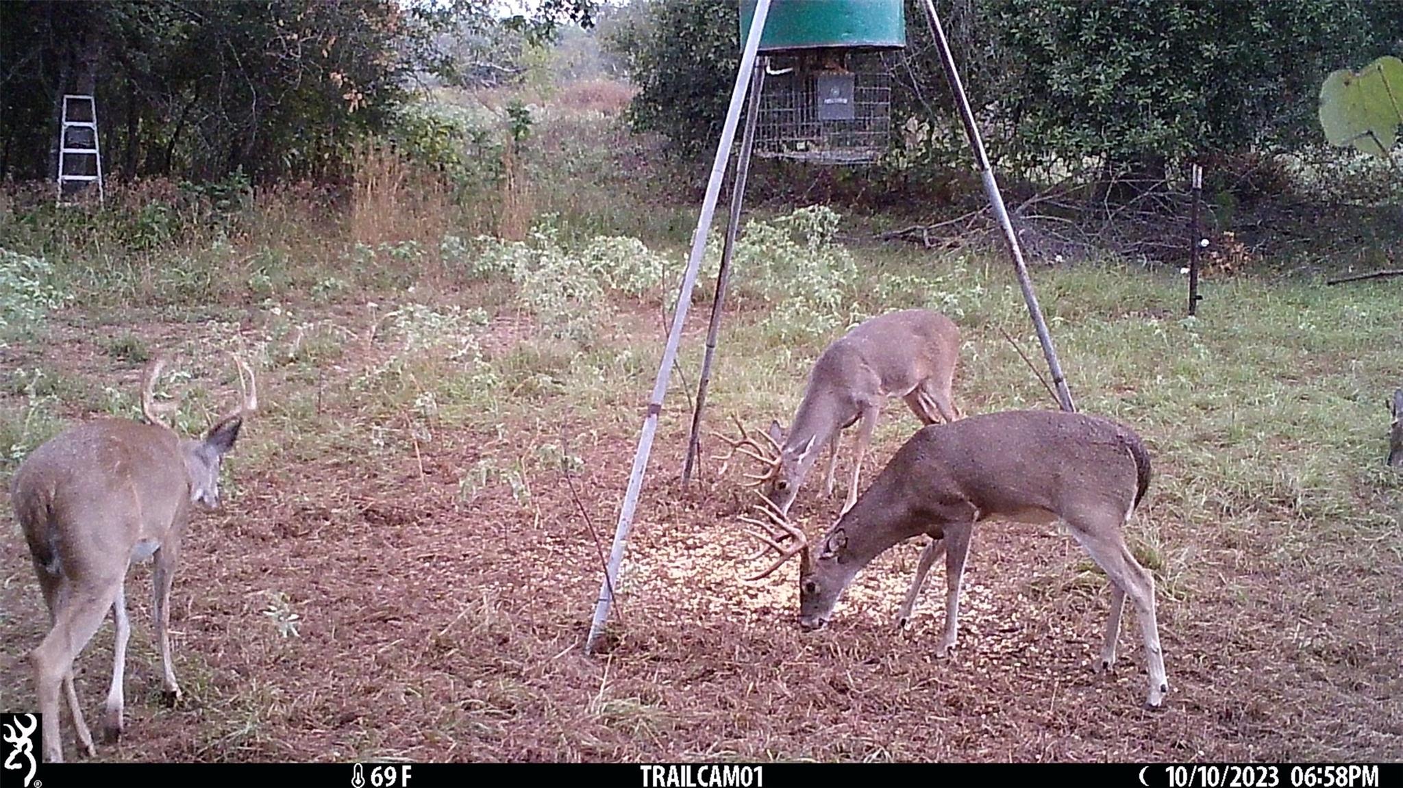 Image 30 of 36 For 1010 County Road 490