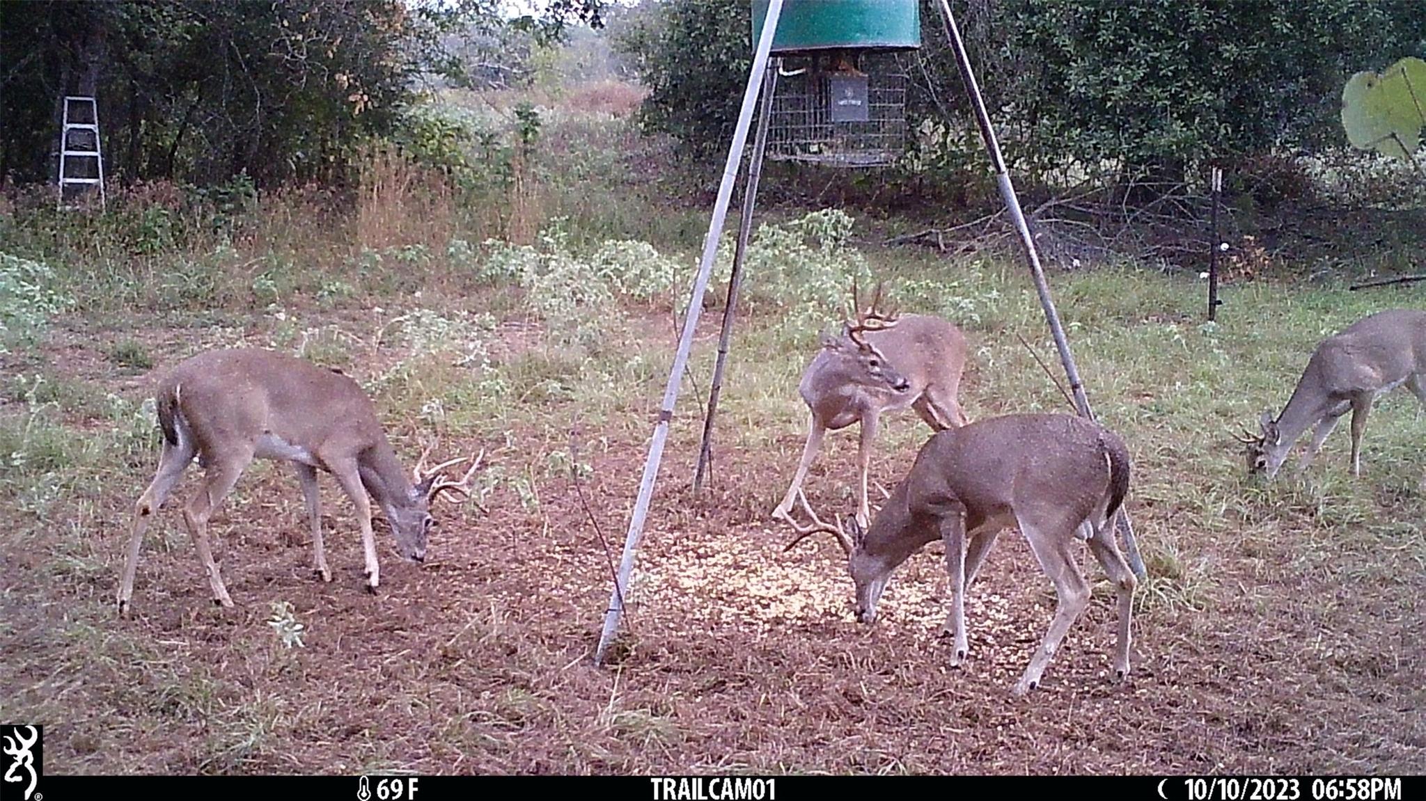 Image 31 of 36 For 1010 County Road 490