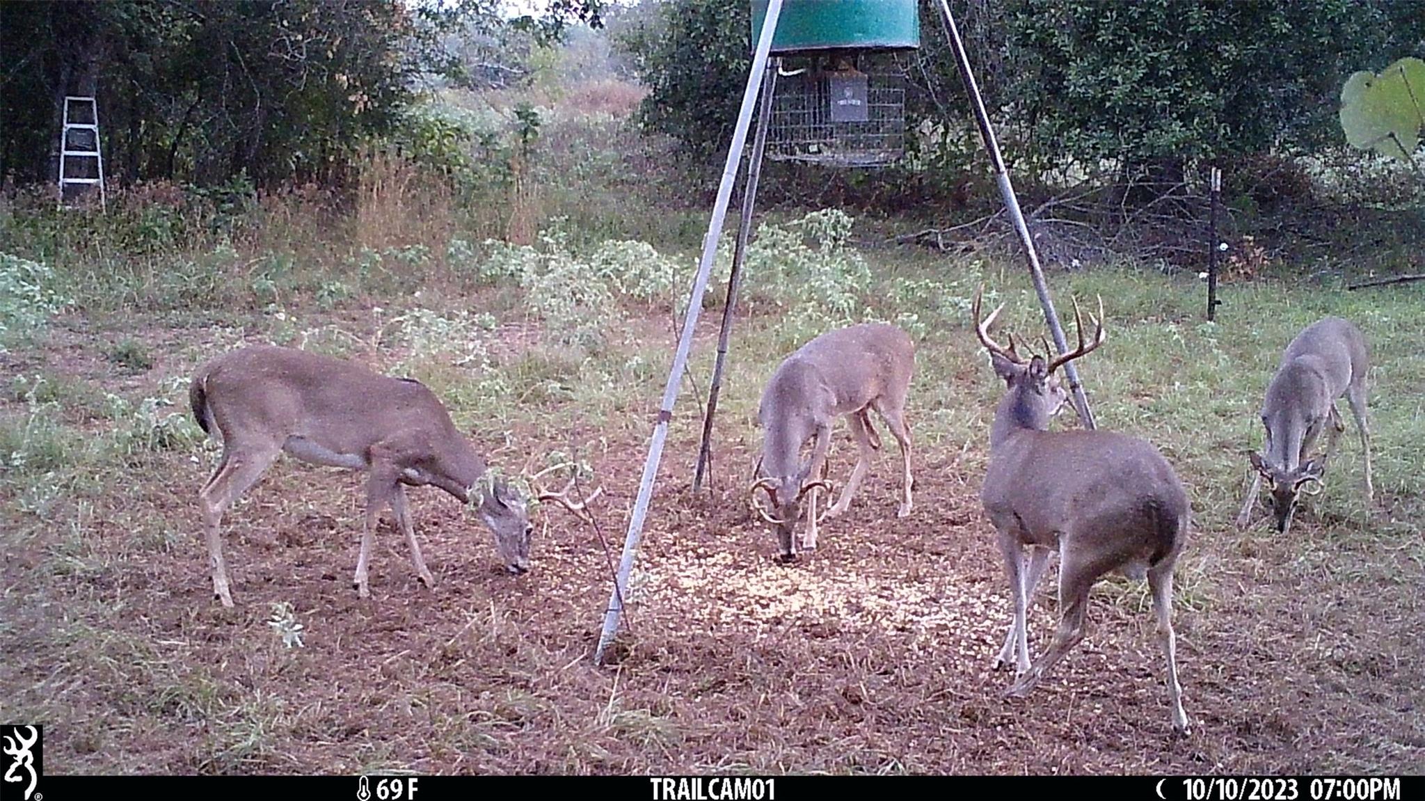 Image 33 of 36 For 1010 County Road 490