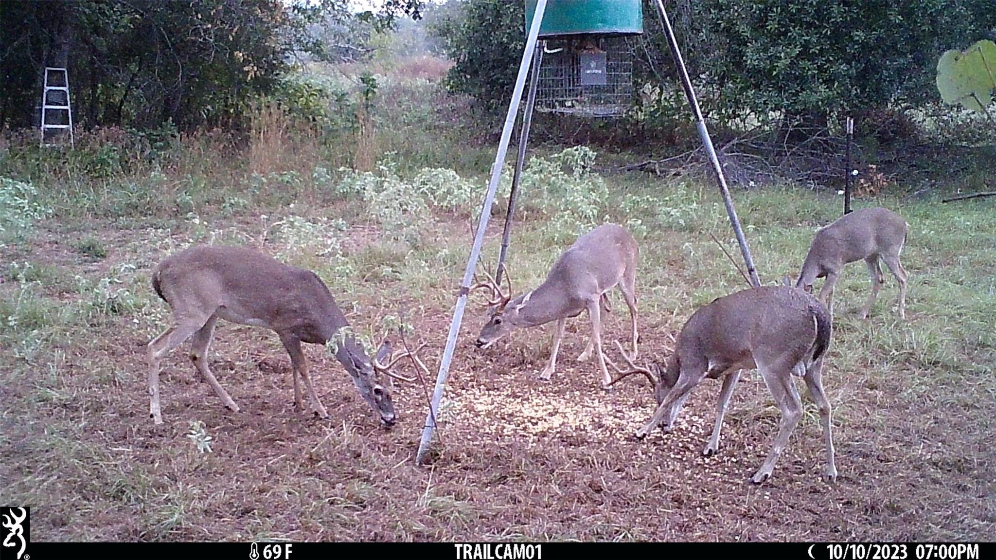 Image 34 of 36 For 1010 County Road 490