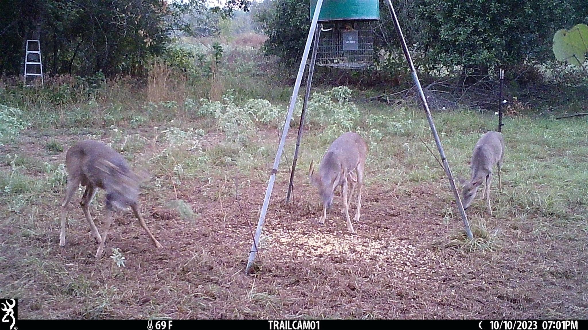 Image 35 of 36 For 1010 County Road 490