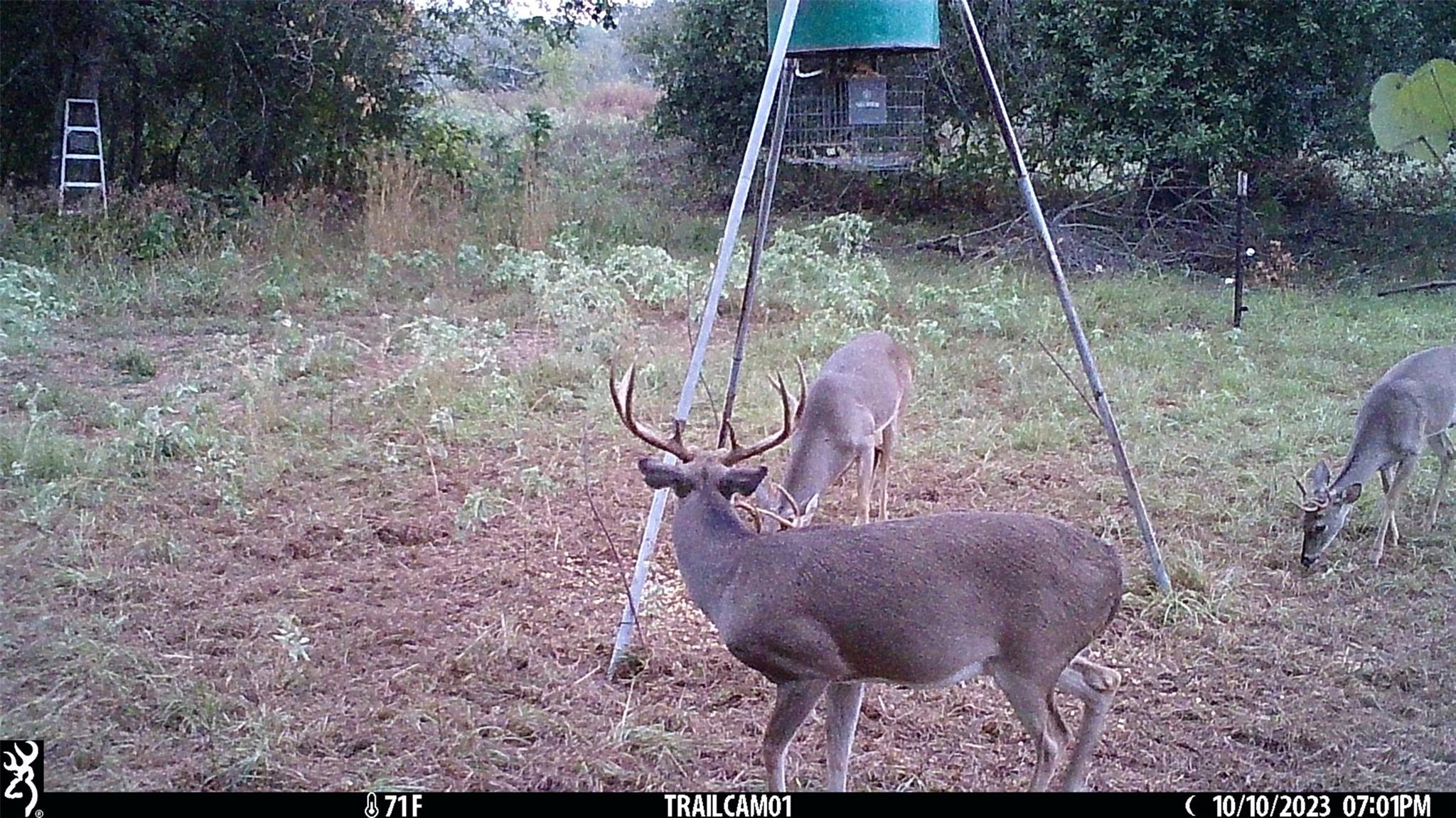 Image 36 of 36 For 1010 County Road 490