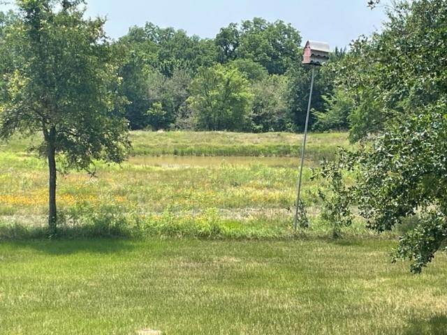 Image 6 of 36 For 1010 County Road 490