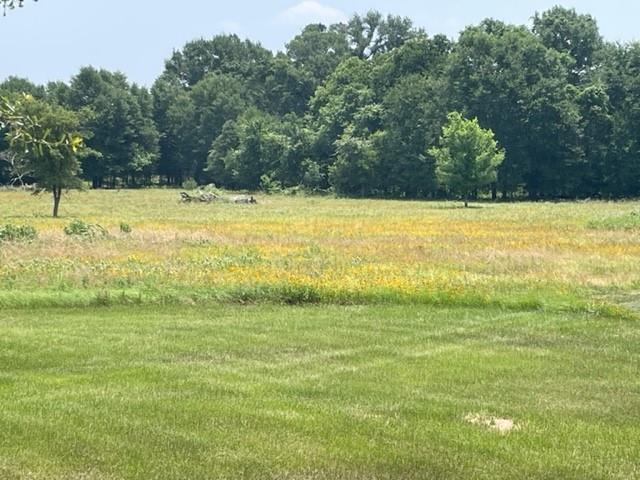 Image 8 of 36 For 1010 County Road 490