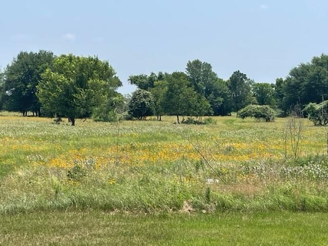 Image 9 of 36 For 1010 County Road 490