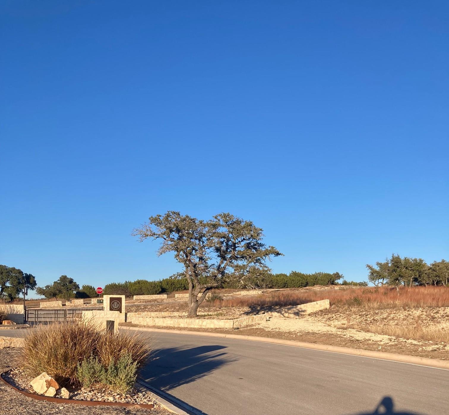 Image 13 of 18 For Tbd Juniper Rdg