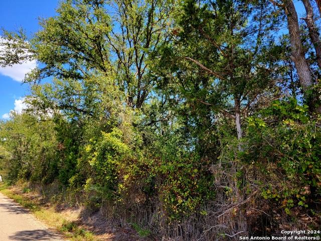 Details for Tbd Dale Ln Ln, Dale, TX 78616