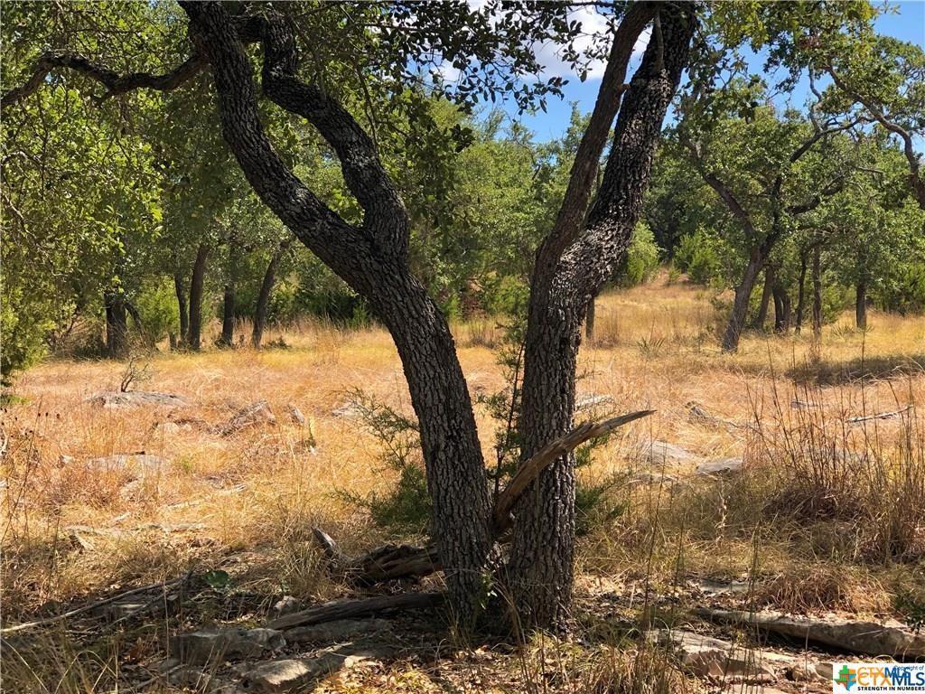 Details for 2253 Bella Vis, Canyon Lake, TX 78133