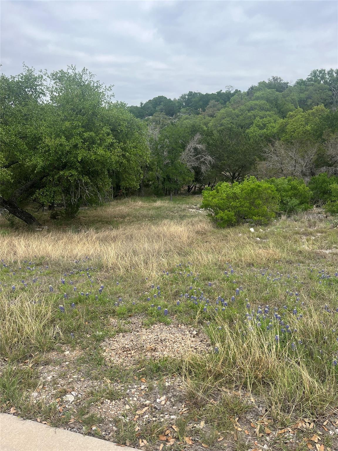 Details for Lot 20179 Quick Draw, Horseshoe Bay, TX 78657