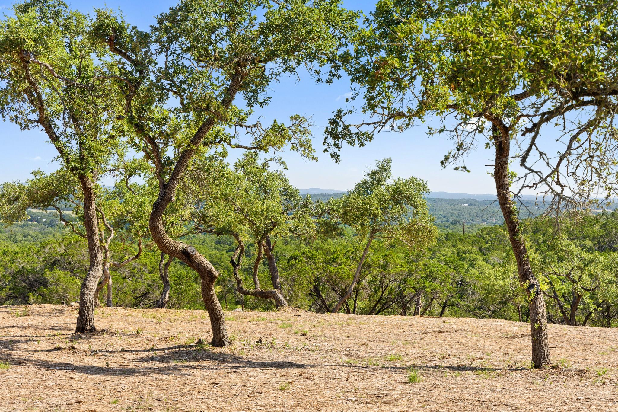 Image 10 of 17 For 9475 Fm 32, Lot 15