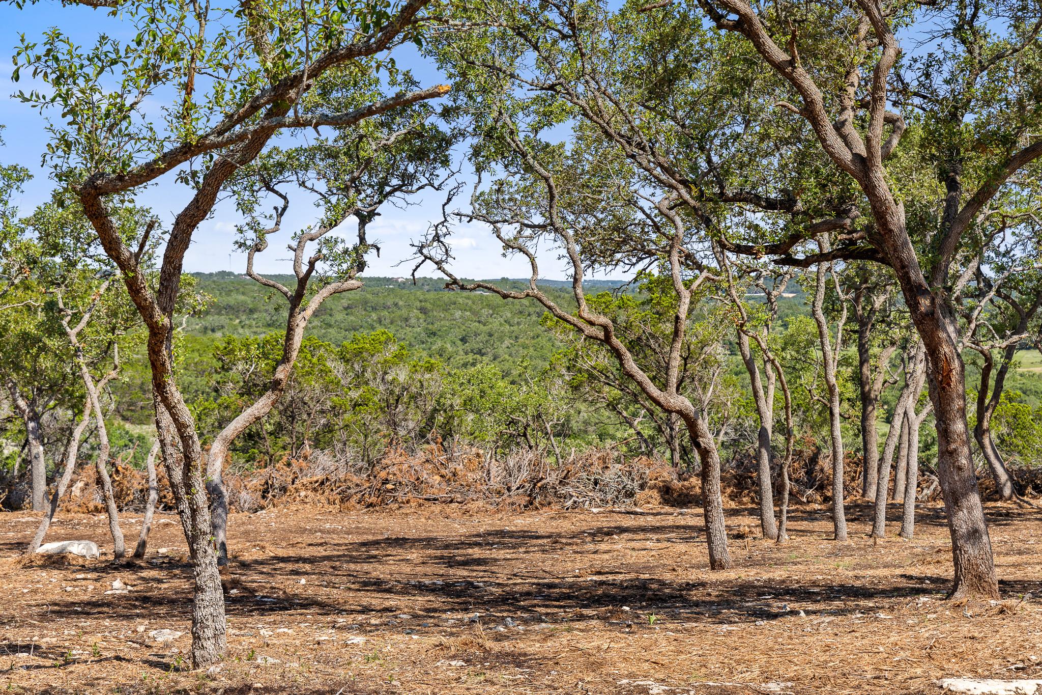 Image 11 of 17 For 9475 Fm 32, Lot 15