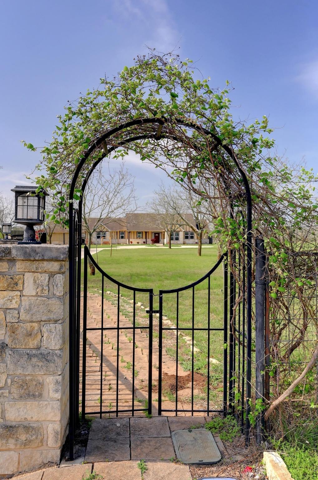 Image 40 of 40 For 100 Prim Rose