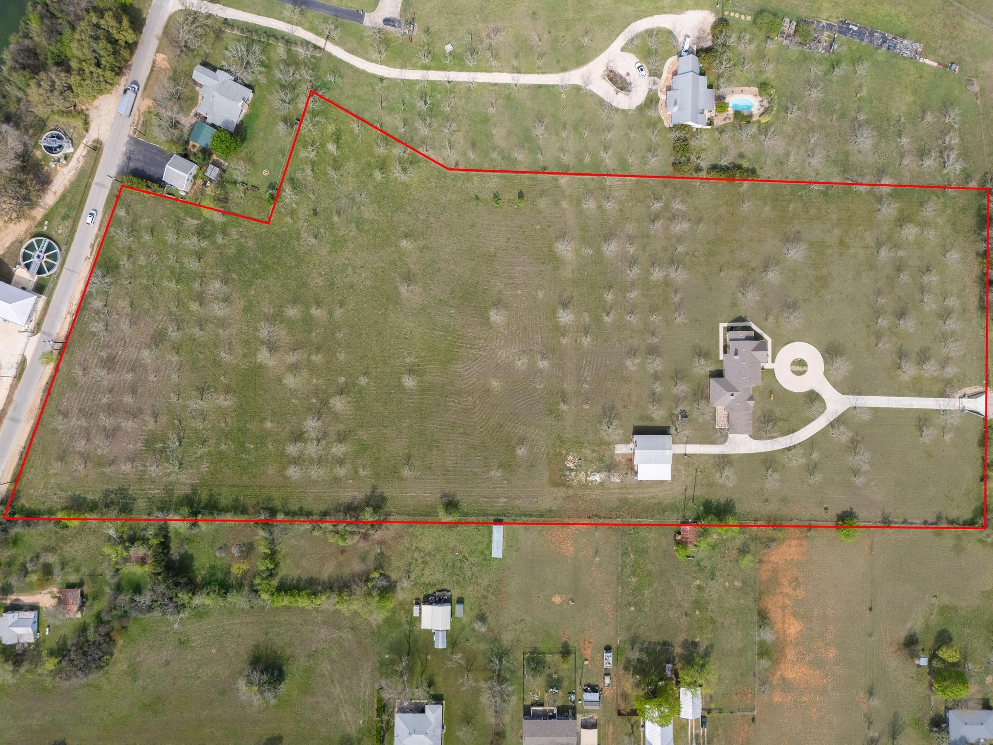 Image 6 of 40 For 100 Prim Rose