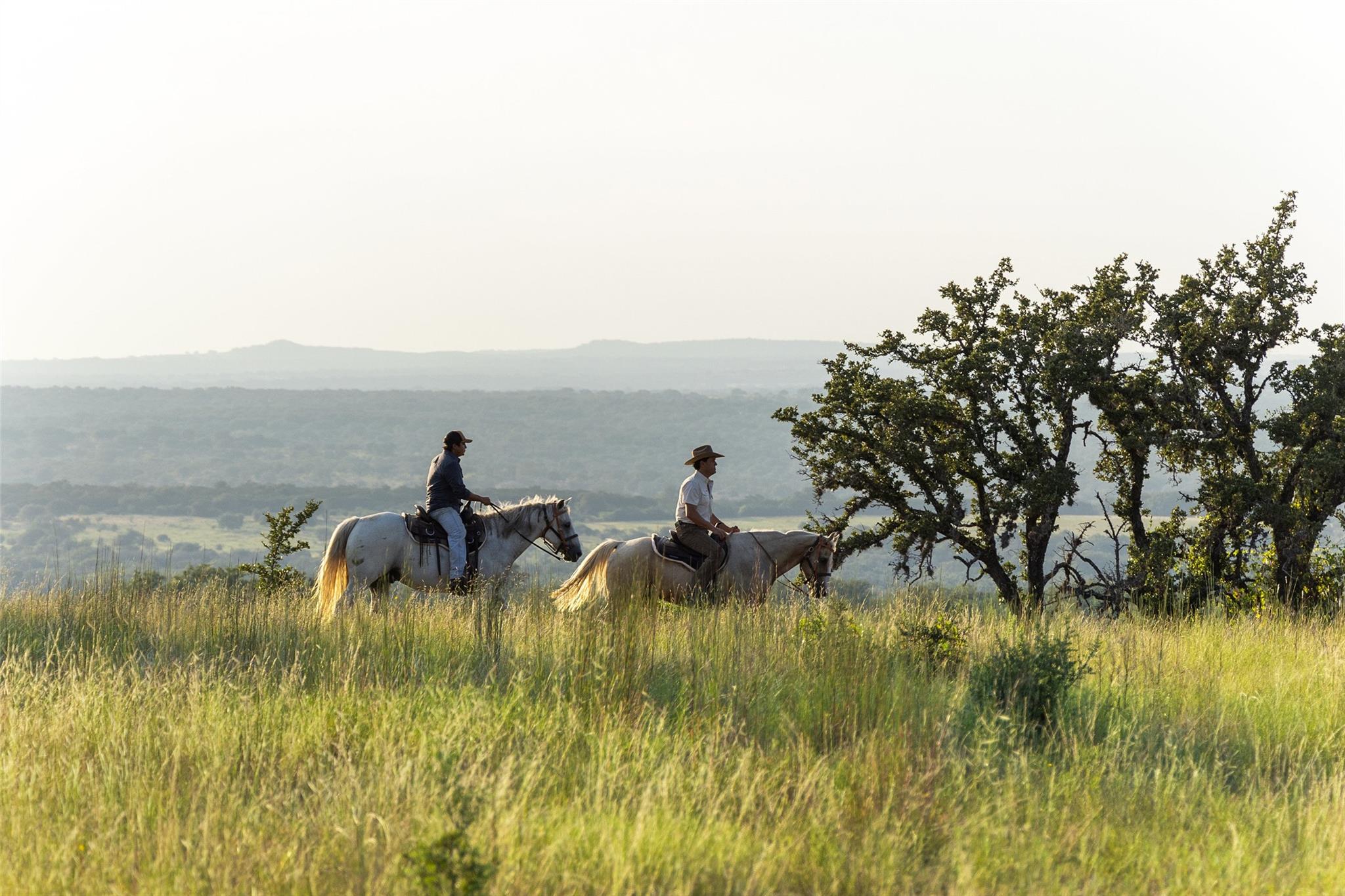 Details for 8577 Ranch Road 2766, Johnson City, TX 78636