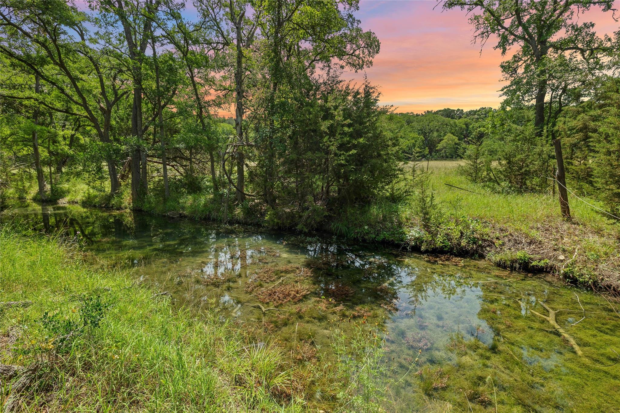 Details for 1128 Posey Ranch Rd, Fischer, TX 78623