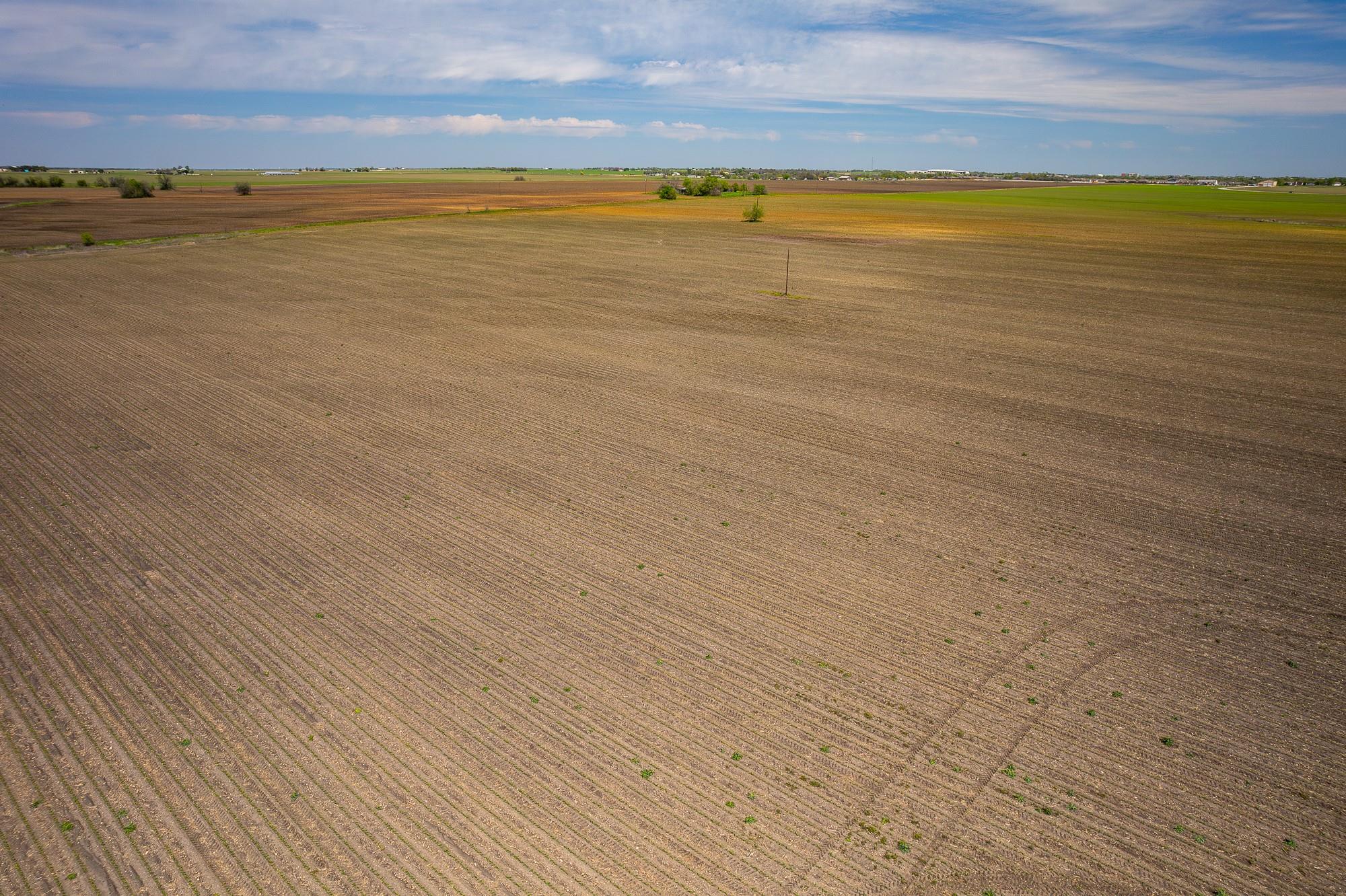 Image 12 of 33 For 901 County Road 398