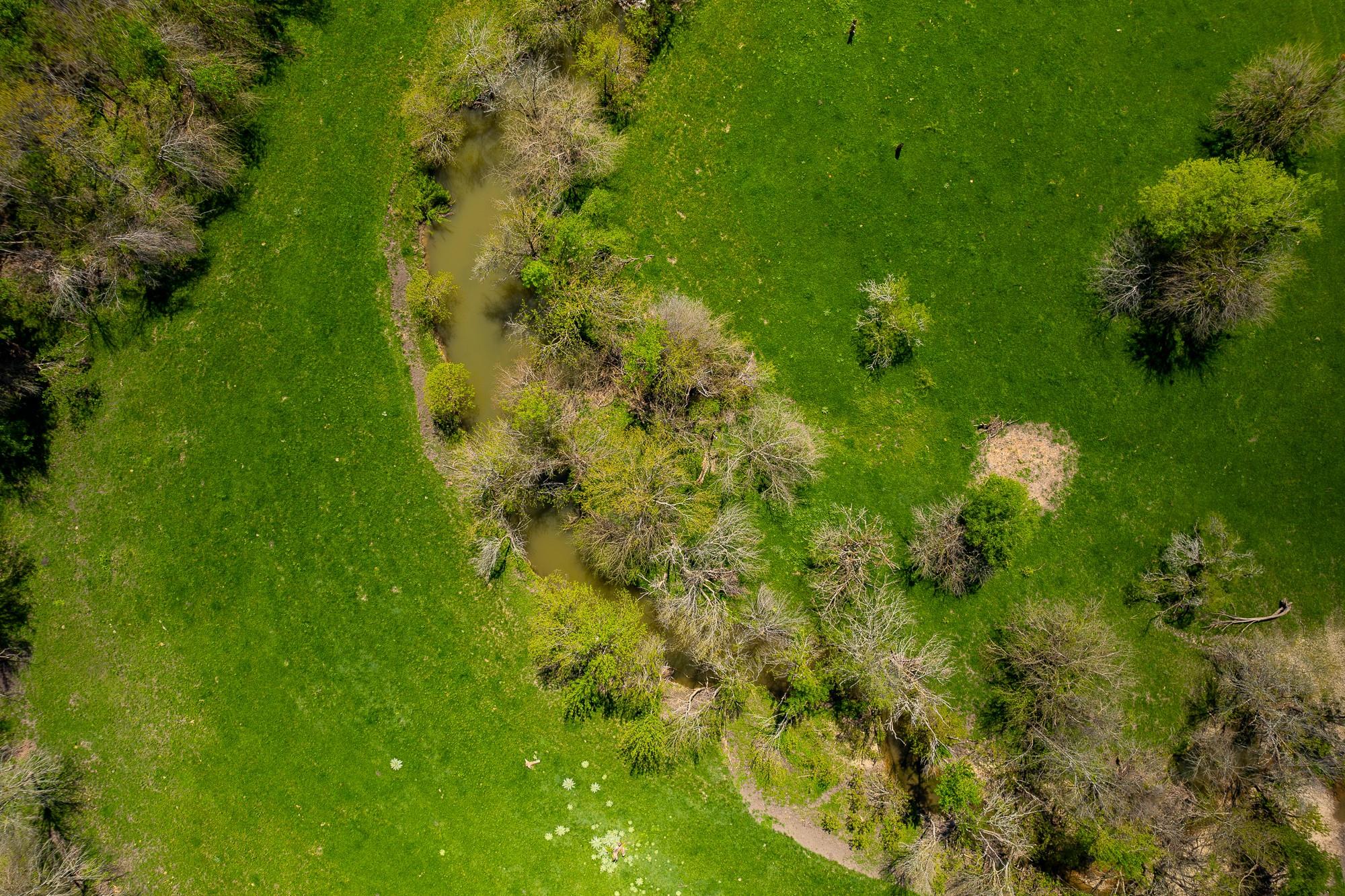 Image 13 of 33 For 901 County Road 398