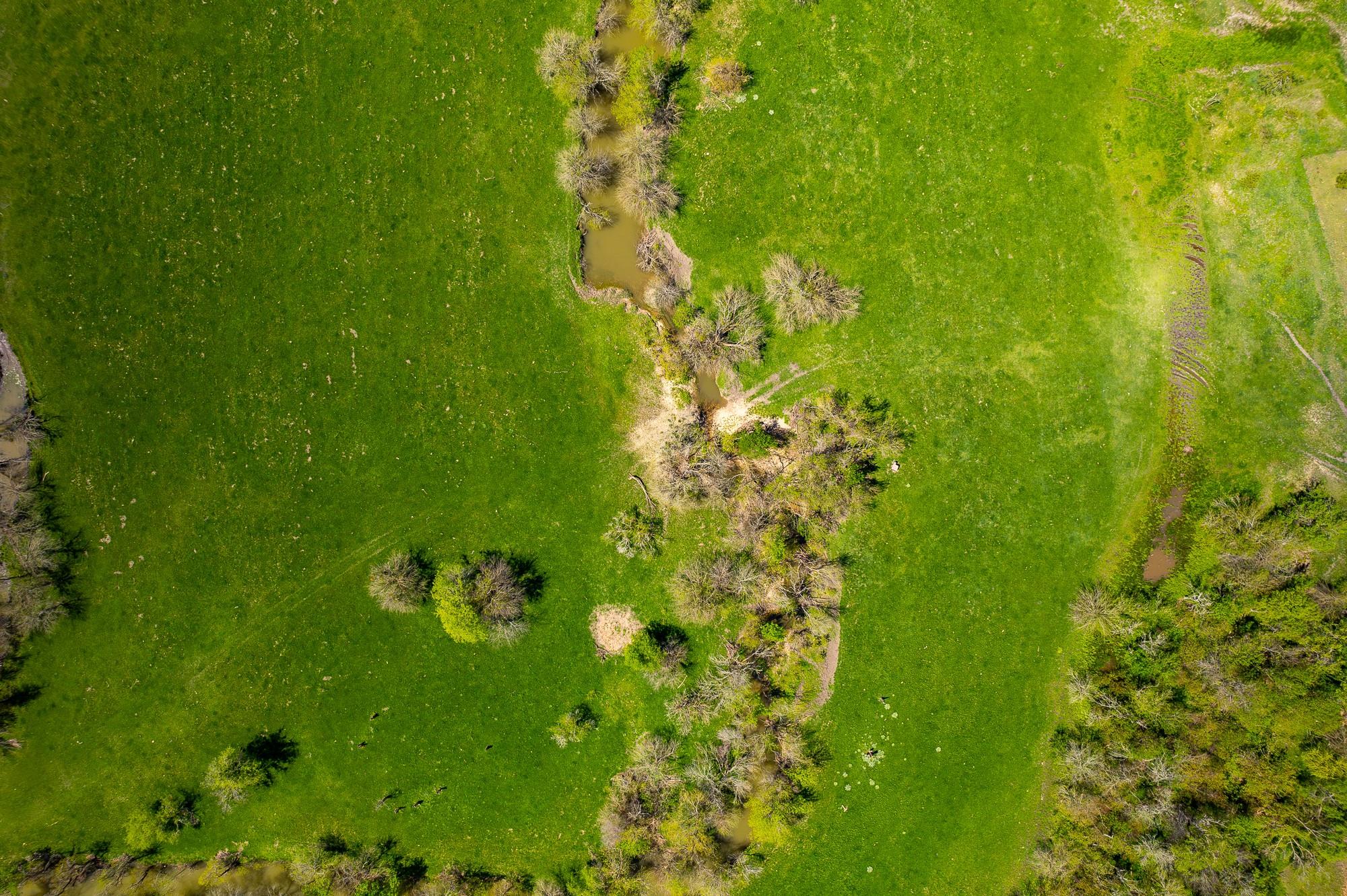 Image 19 of 33 For 901 County Road 398