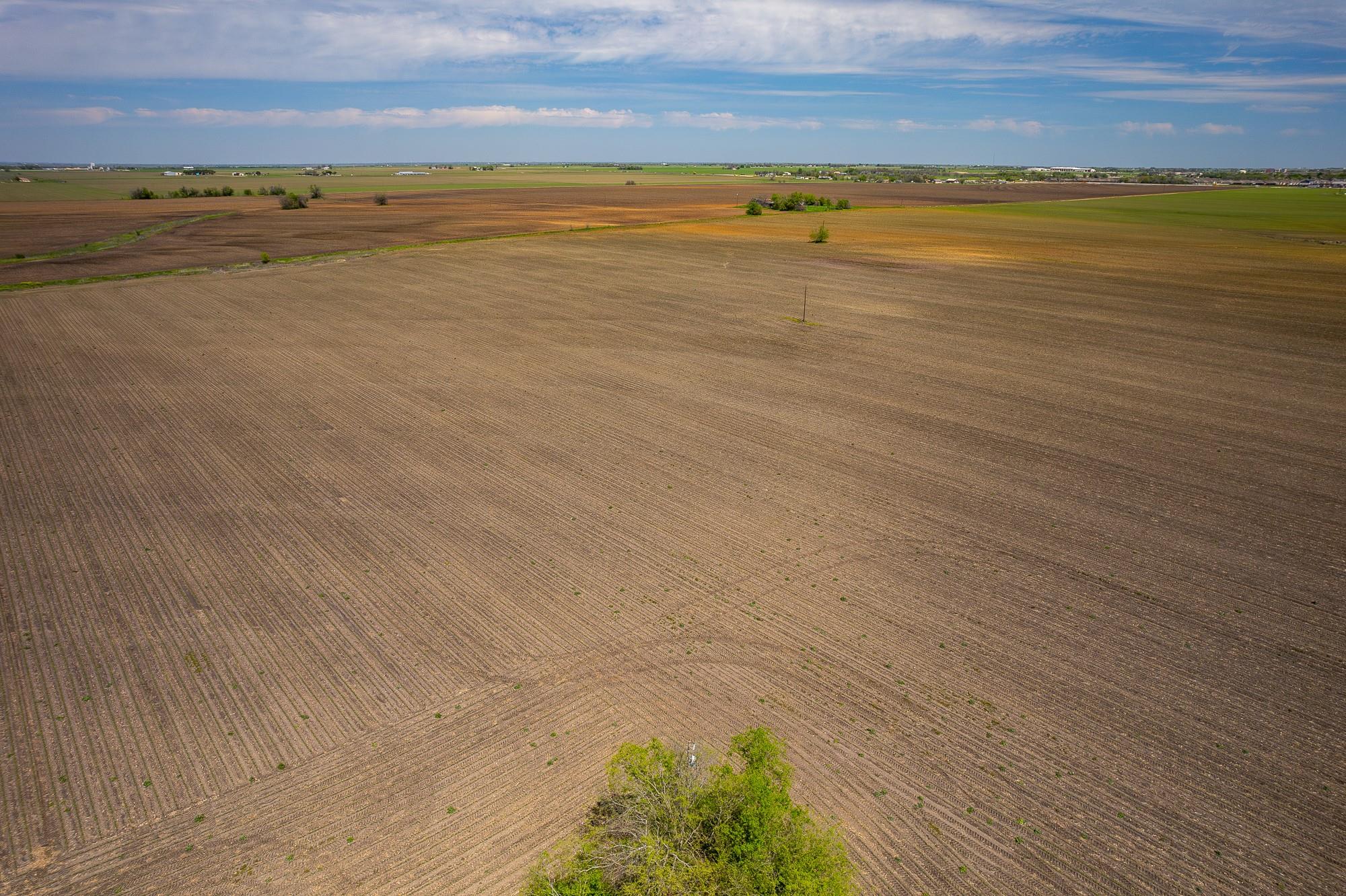 Image 23 of 33 For 901 County Road 398