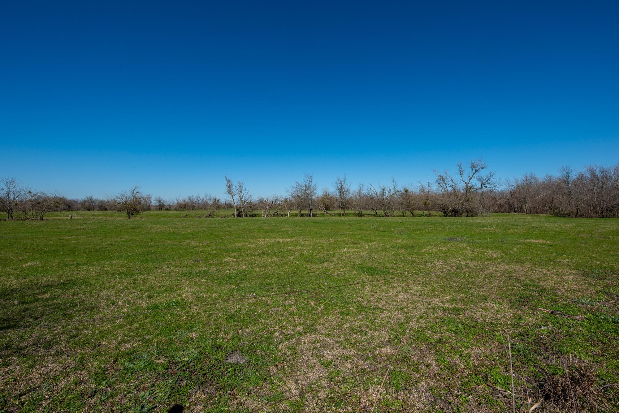 Image 6 of 33 For 901 County Road 398