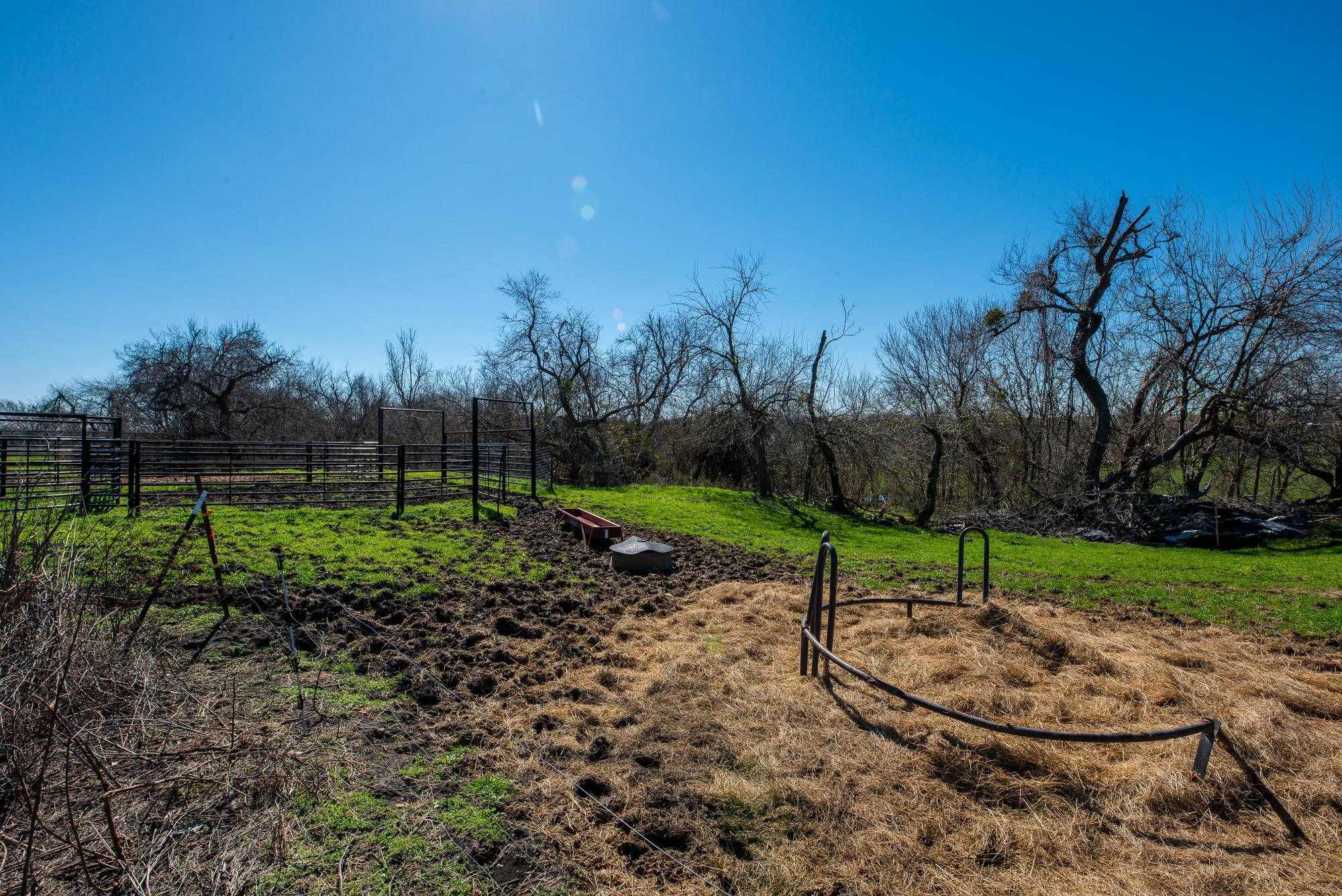 Image 7 of 33 For 901 County Road 398