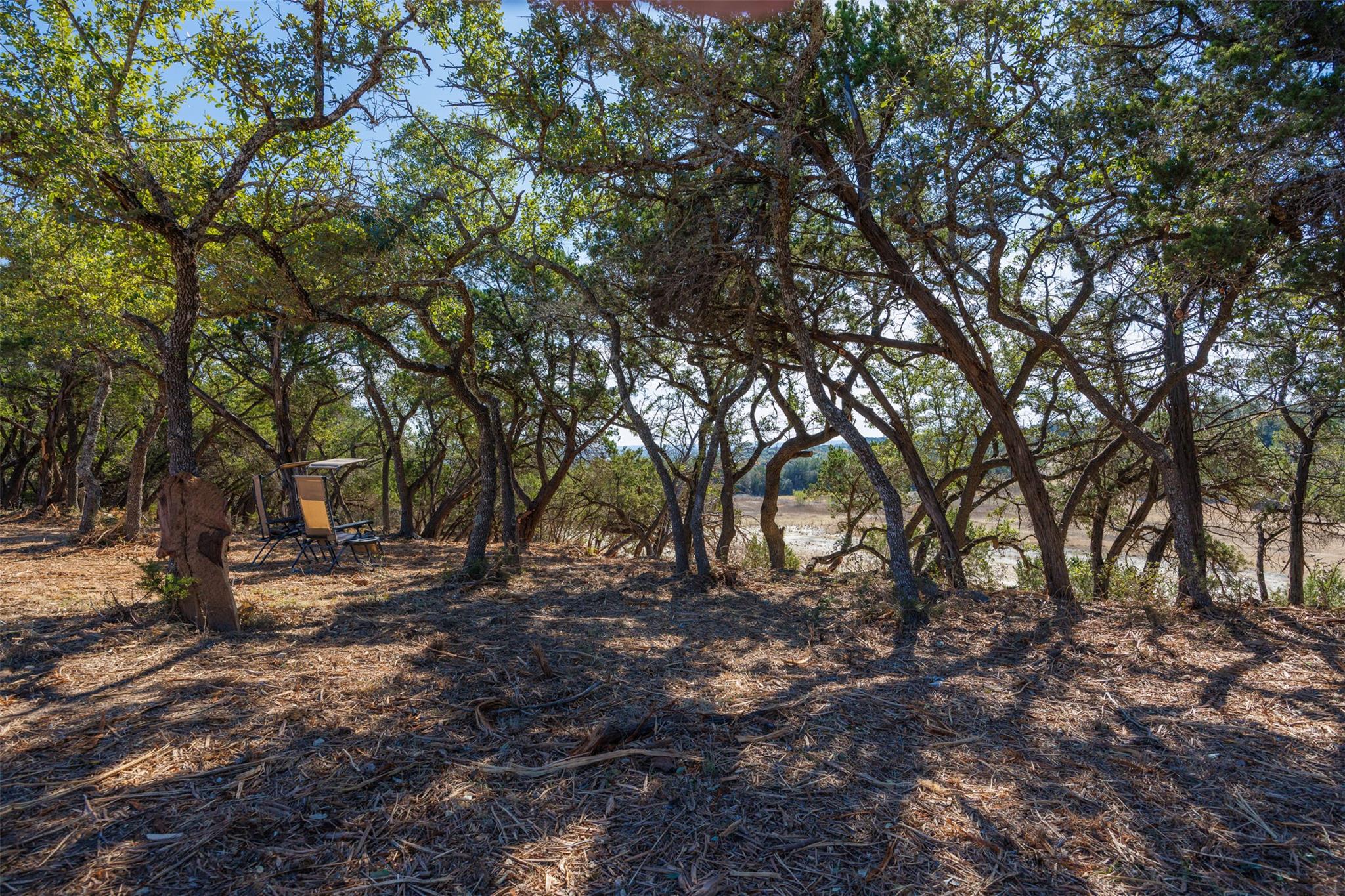 Image 4 of 24 For 78 Dodder Ln