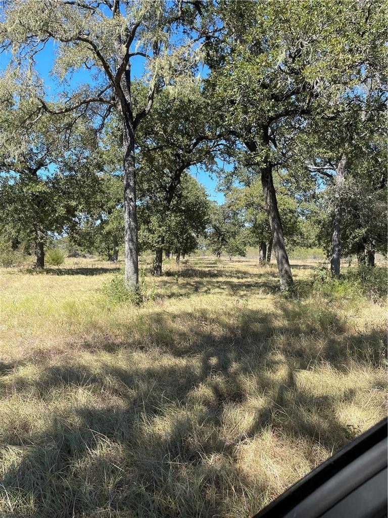 Details for 200 Hershal Ln, Cedar Creek, TX 78612