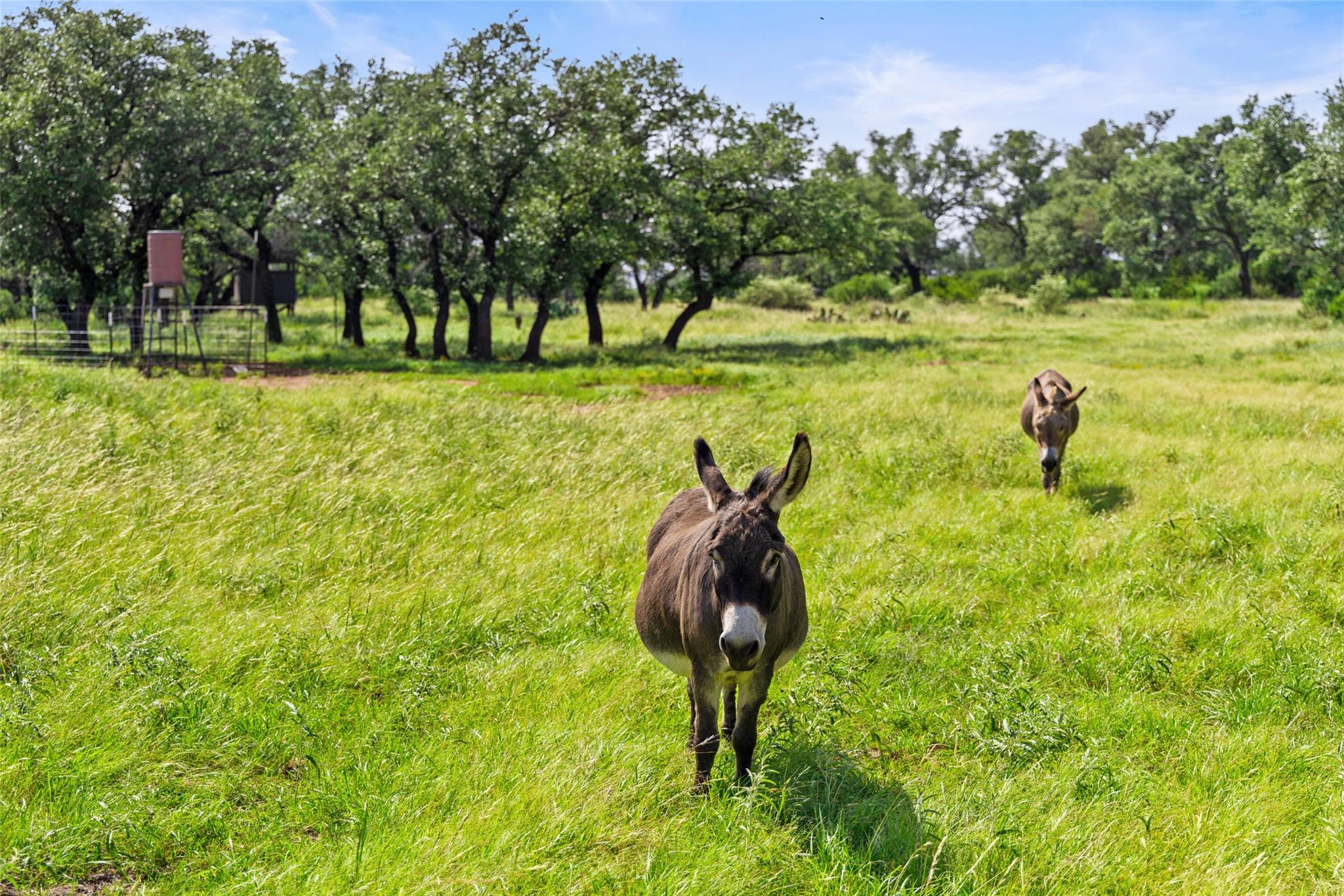 Image 34 of 36 For 4529 Ranch Road 3347