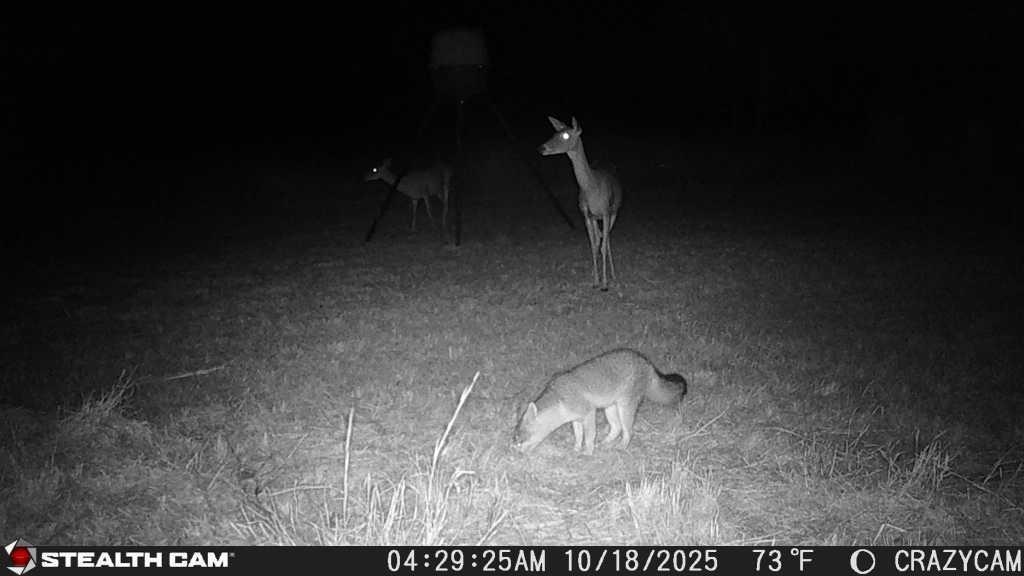 Image 26 of 28 For 23651 Wolfridge Rd