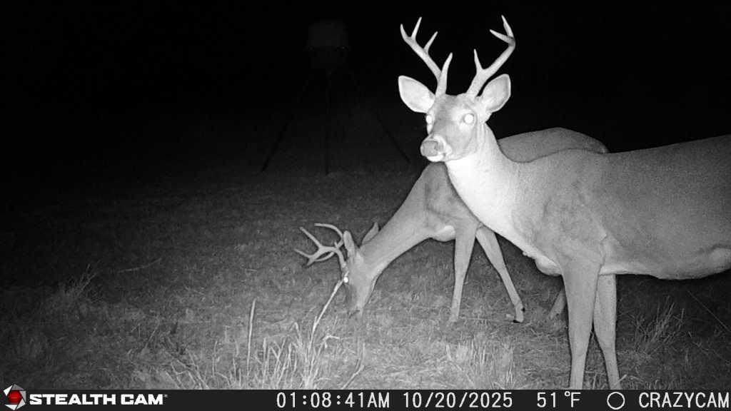 Image 28 of 28 For 23651 Wolfridge Rd