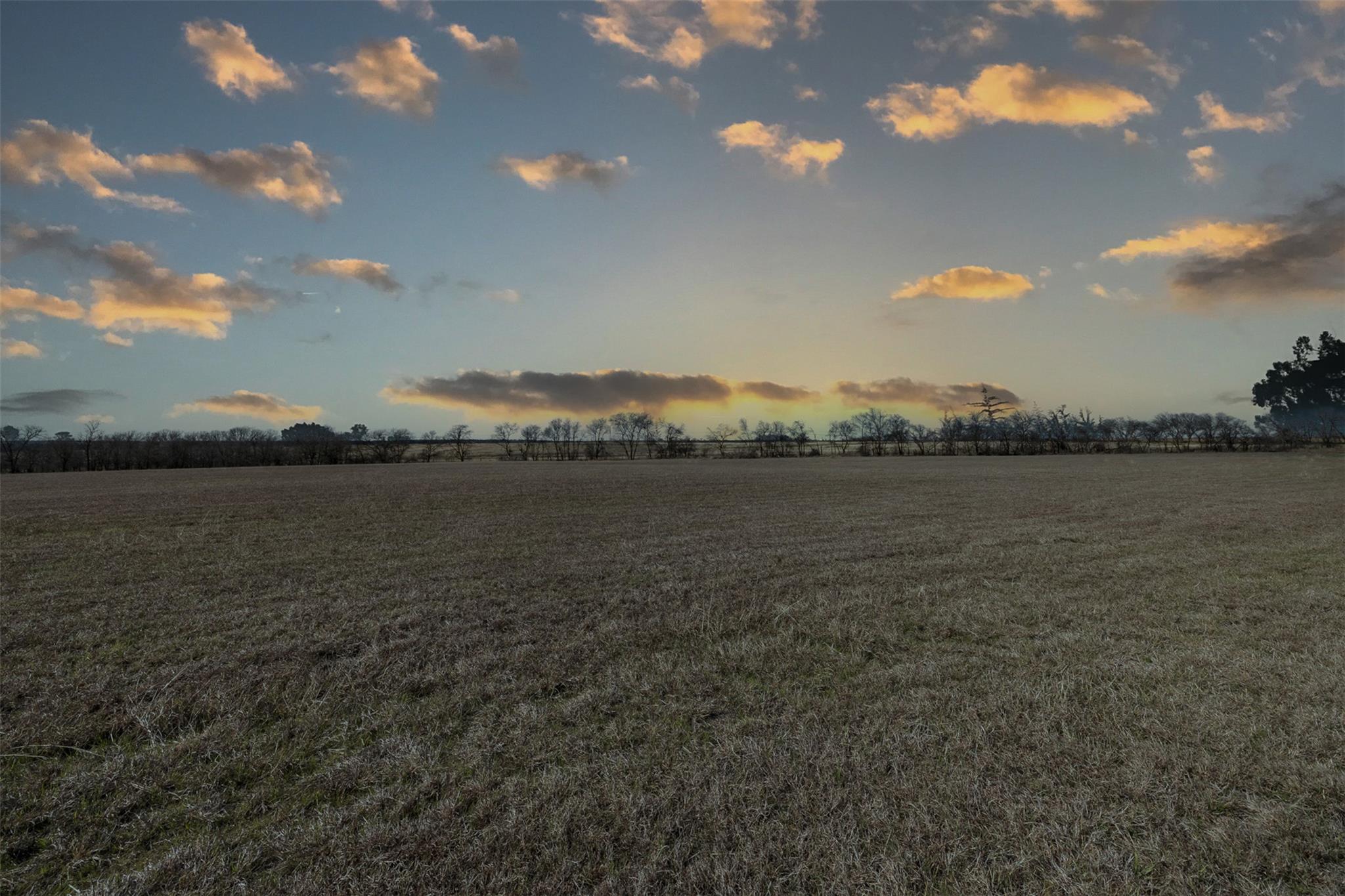 Image 5 of 14 For 000 County Road 133 Ctr