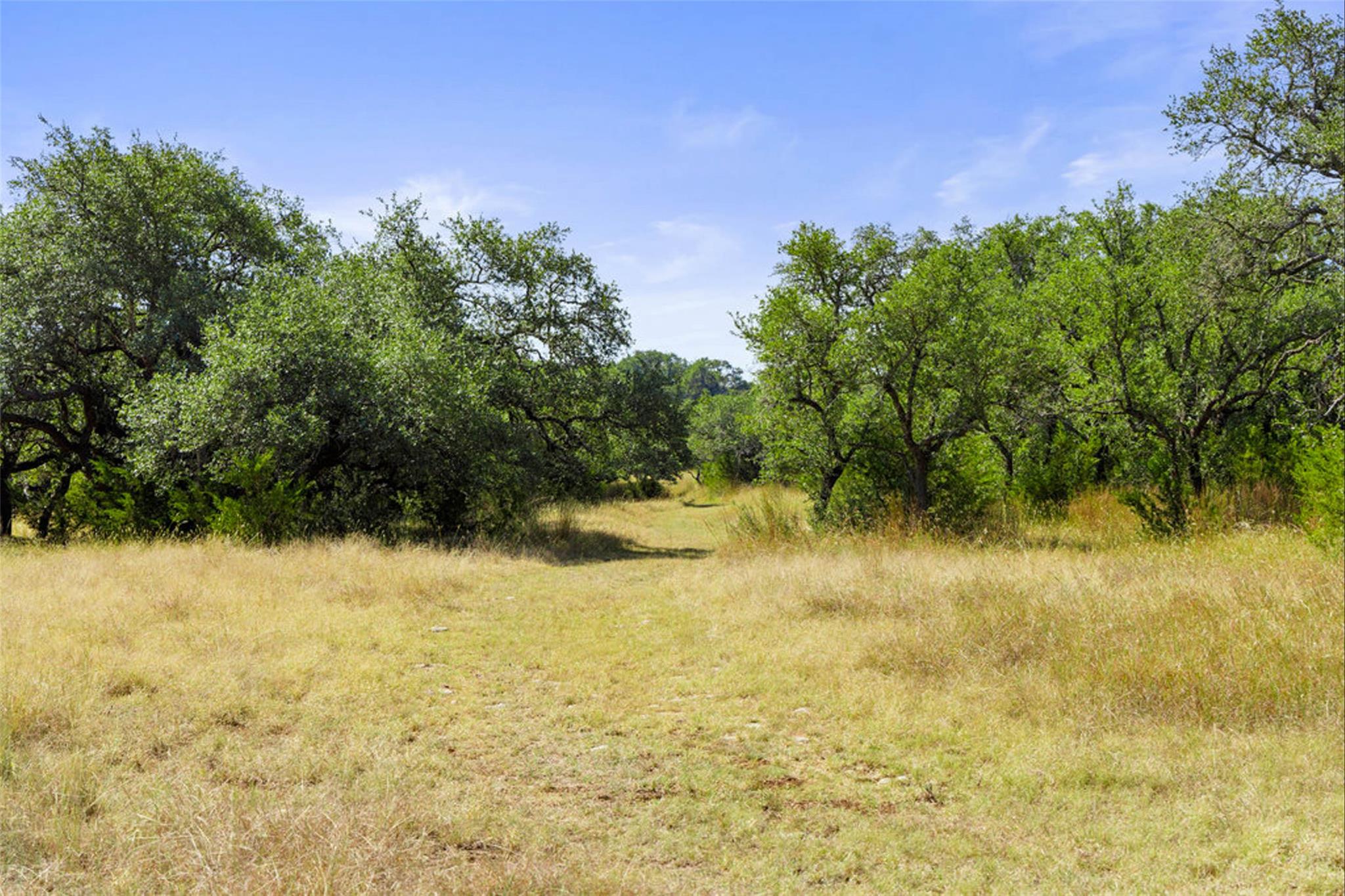 Image 10 of 40 For 1655 Walnut Springs Rd