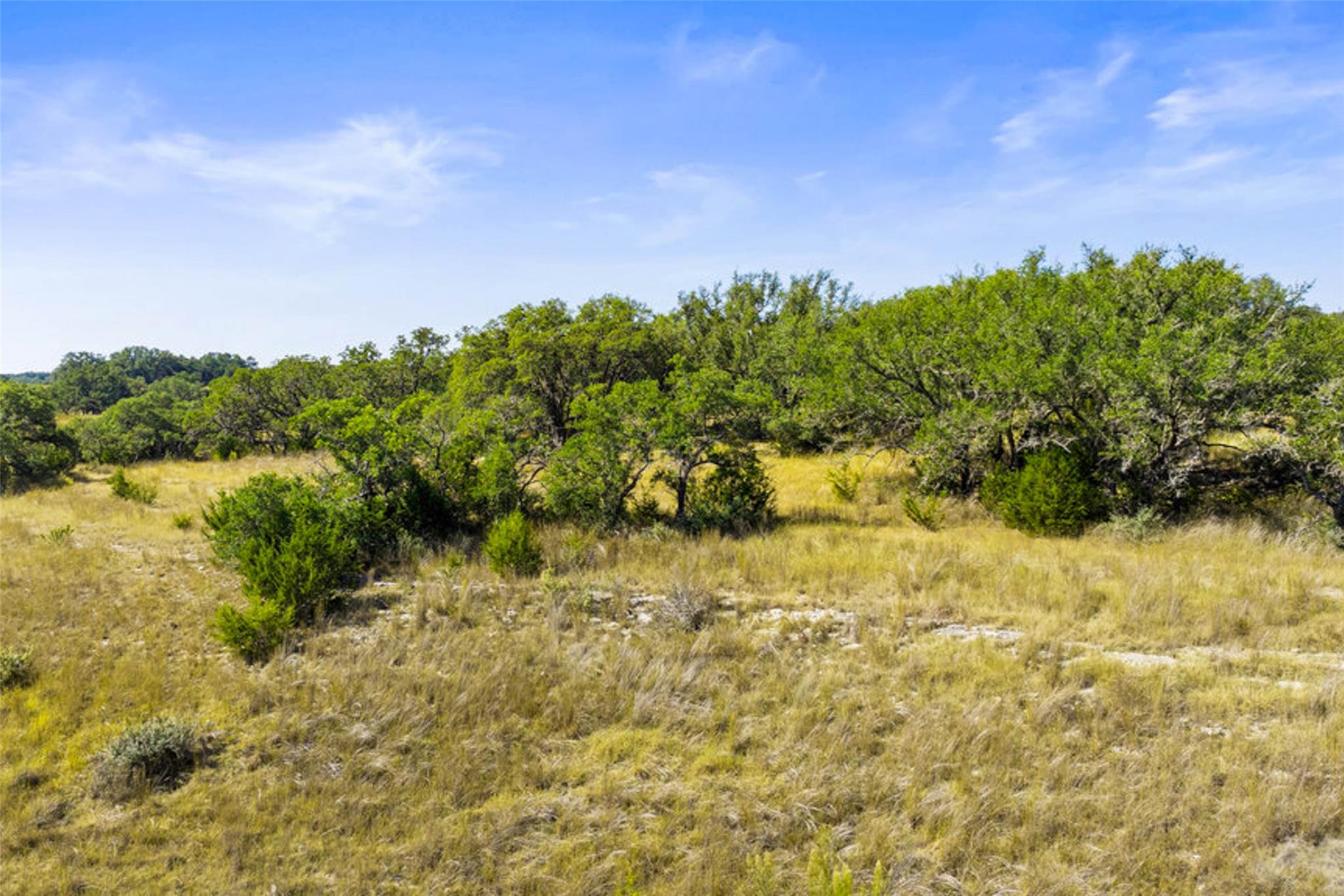 Image 11 of 40 For 1655 Walnut Springs Rd