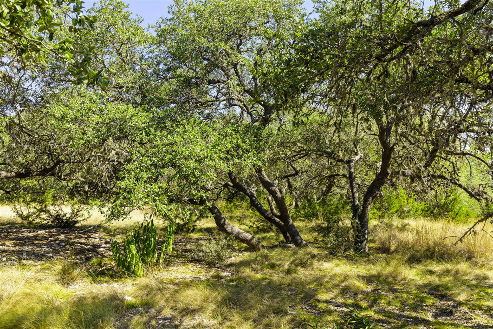 Image 20 of 40 For 1655 Walnut Springs Rd