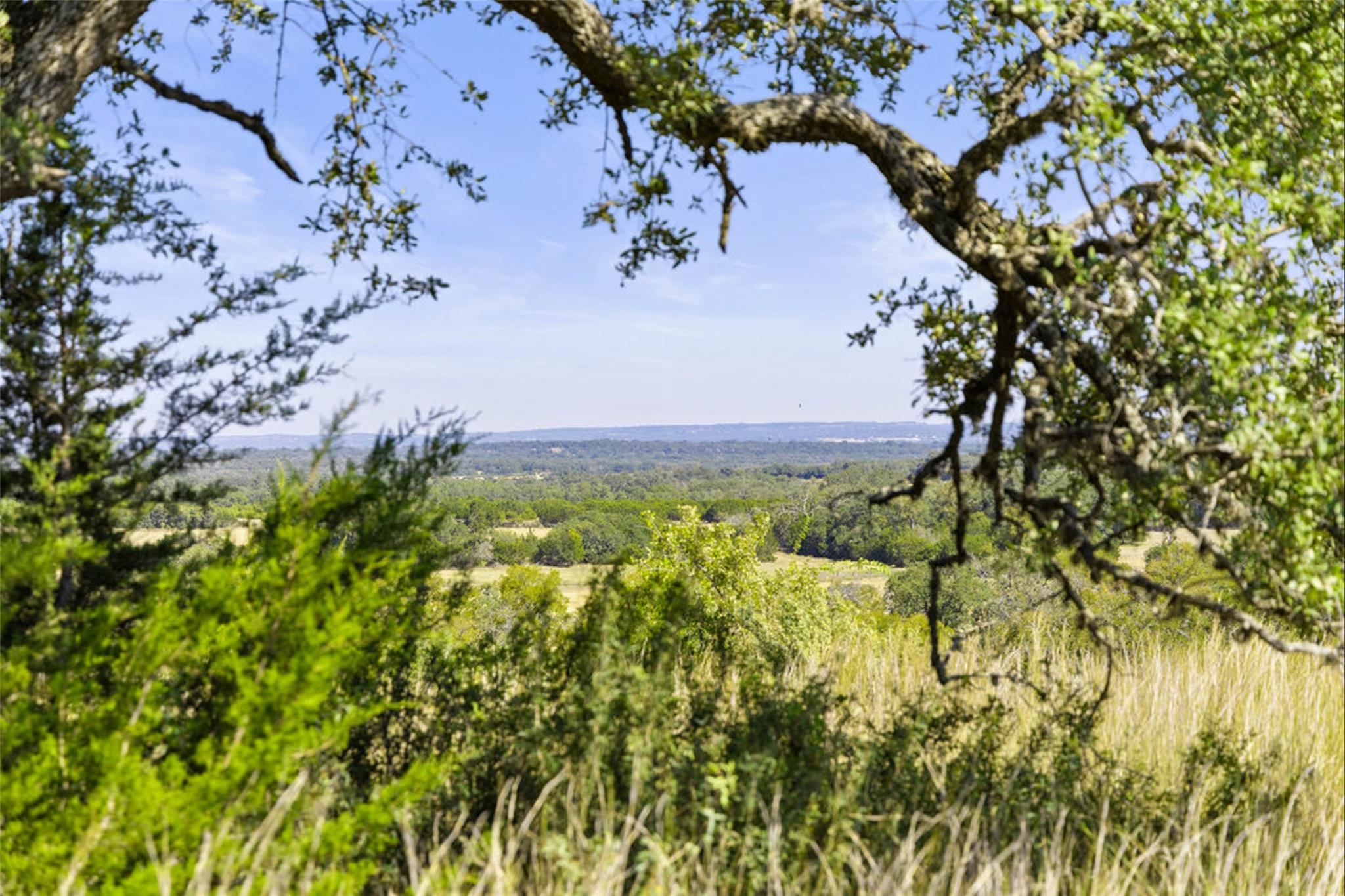 Image 3 of 40 For 1655 Walnut Springs Rd