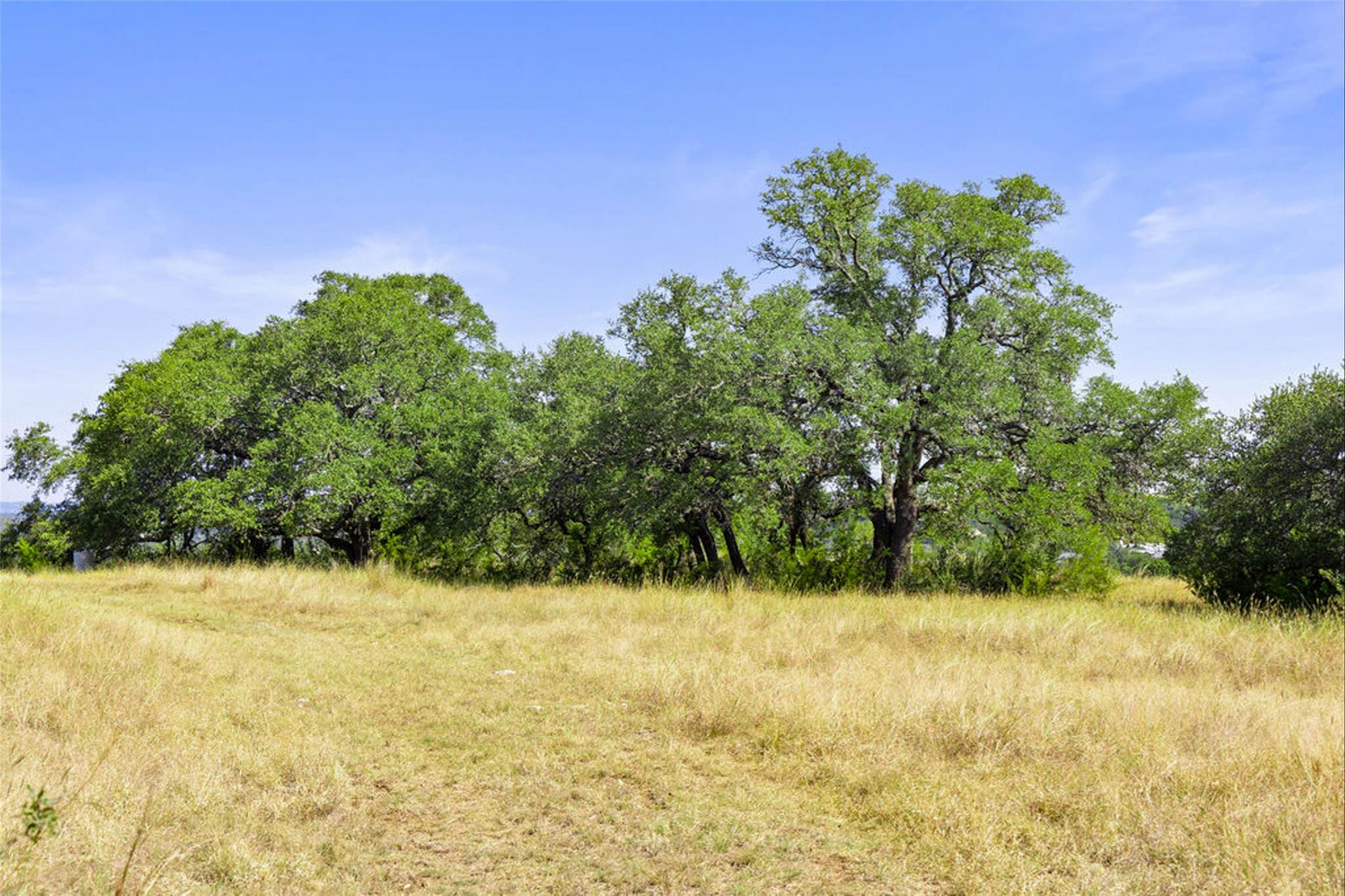 Image 30 of 40 For 1655 Walnut Springs Rd