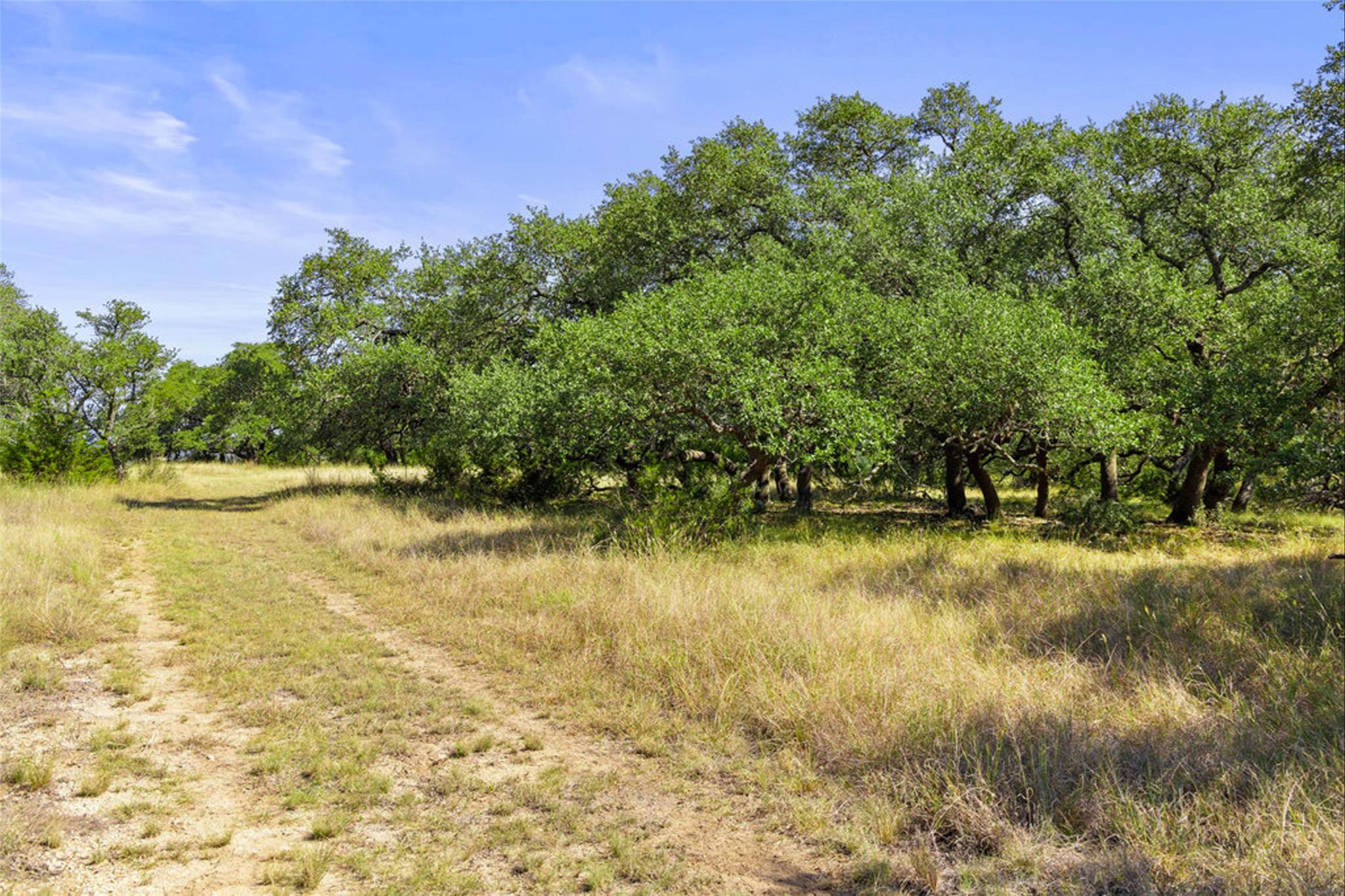 Image 31 of 40 For 1655 Walnut Springs Rd