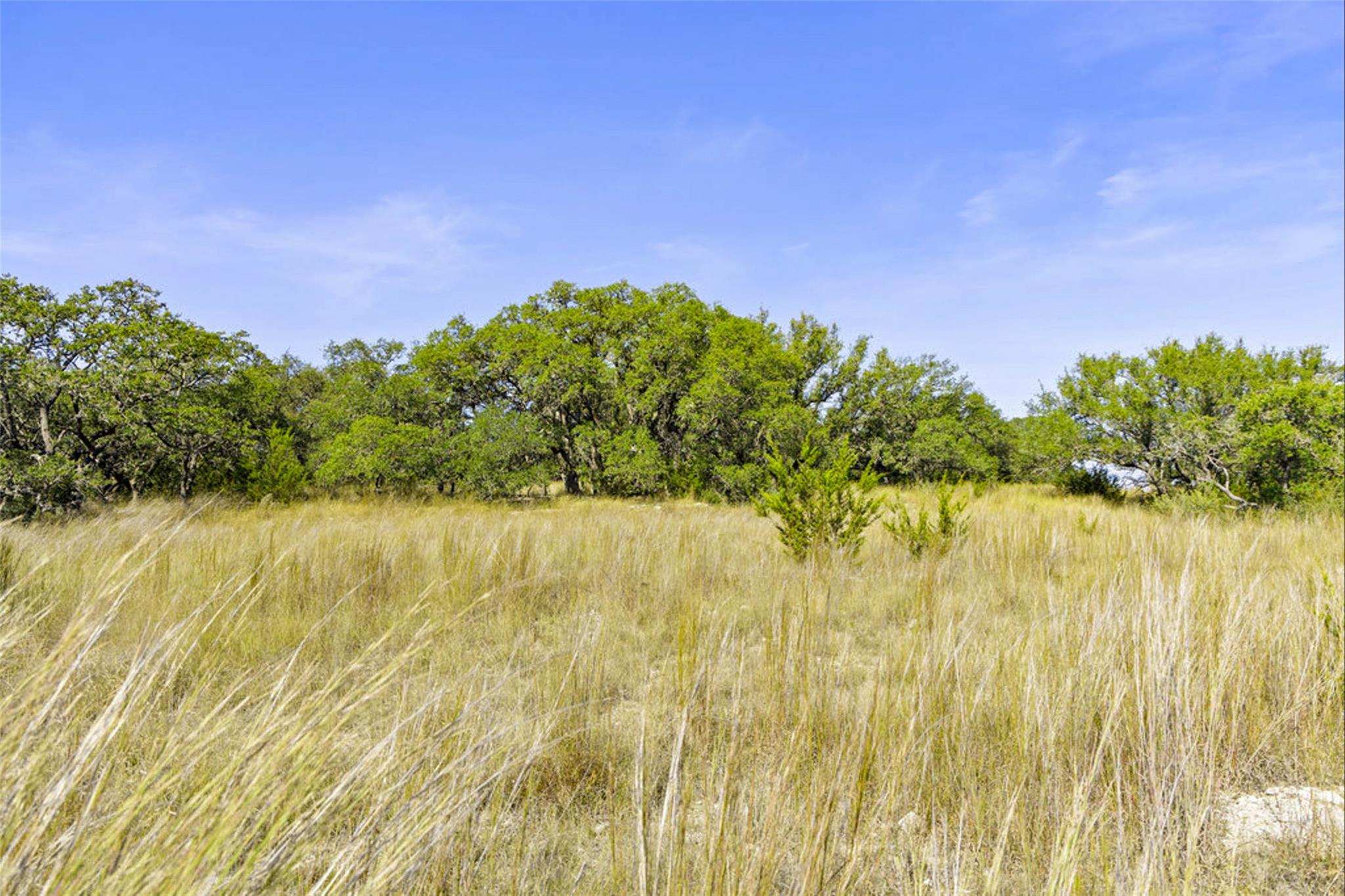 Image 32 of 40 For 1655 Walnut Springs Rd