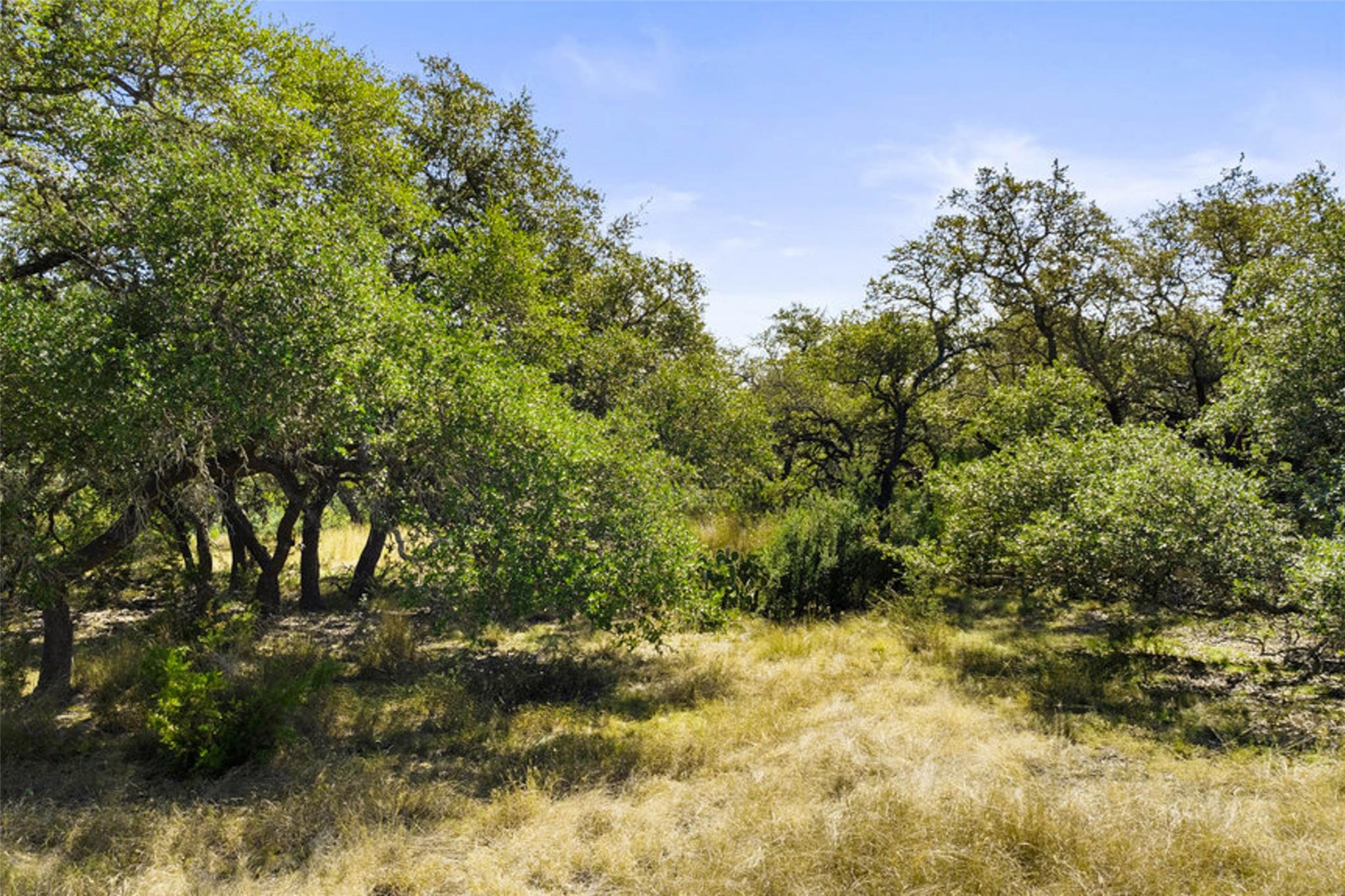 Image 9 of 40 For 1655 Walnut Springs Rd