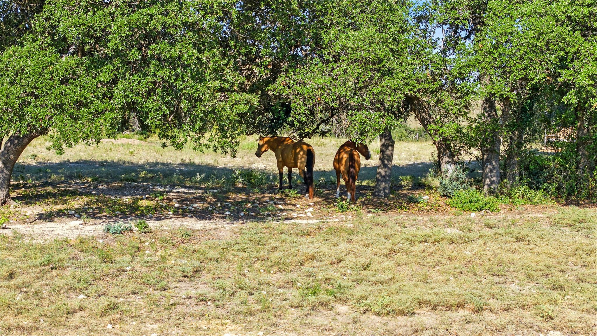 Image 25 of 40 For 753 Sunset Dr